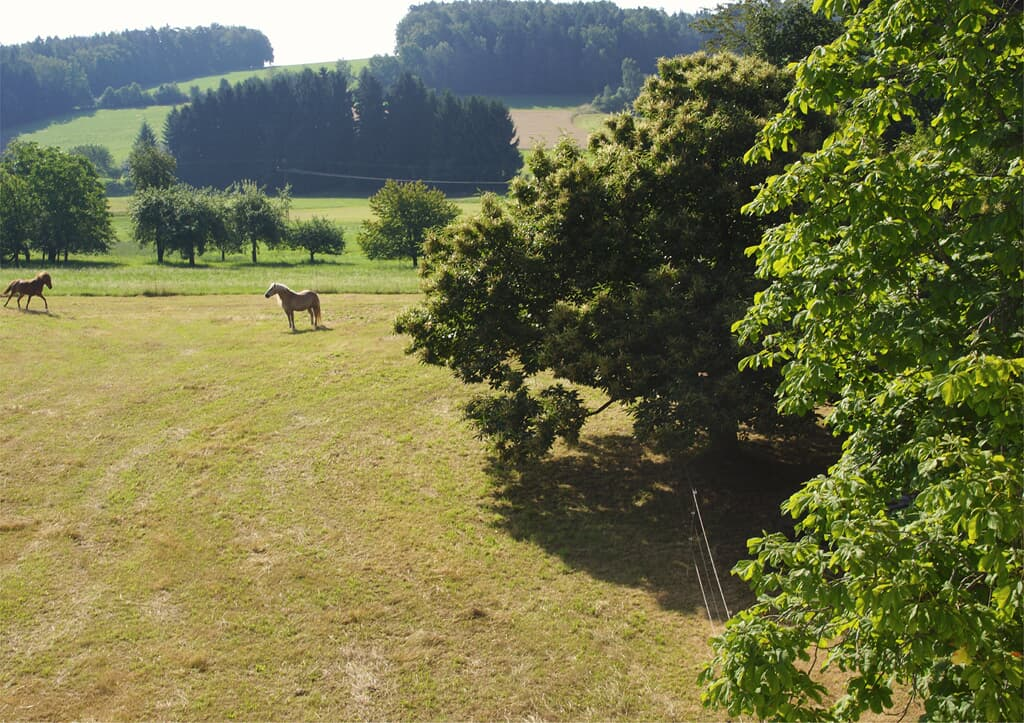 Panoramablick Höllbachtal in Rettenbach