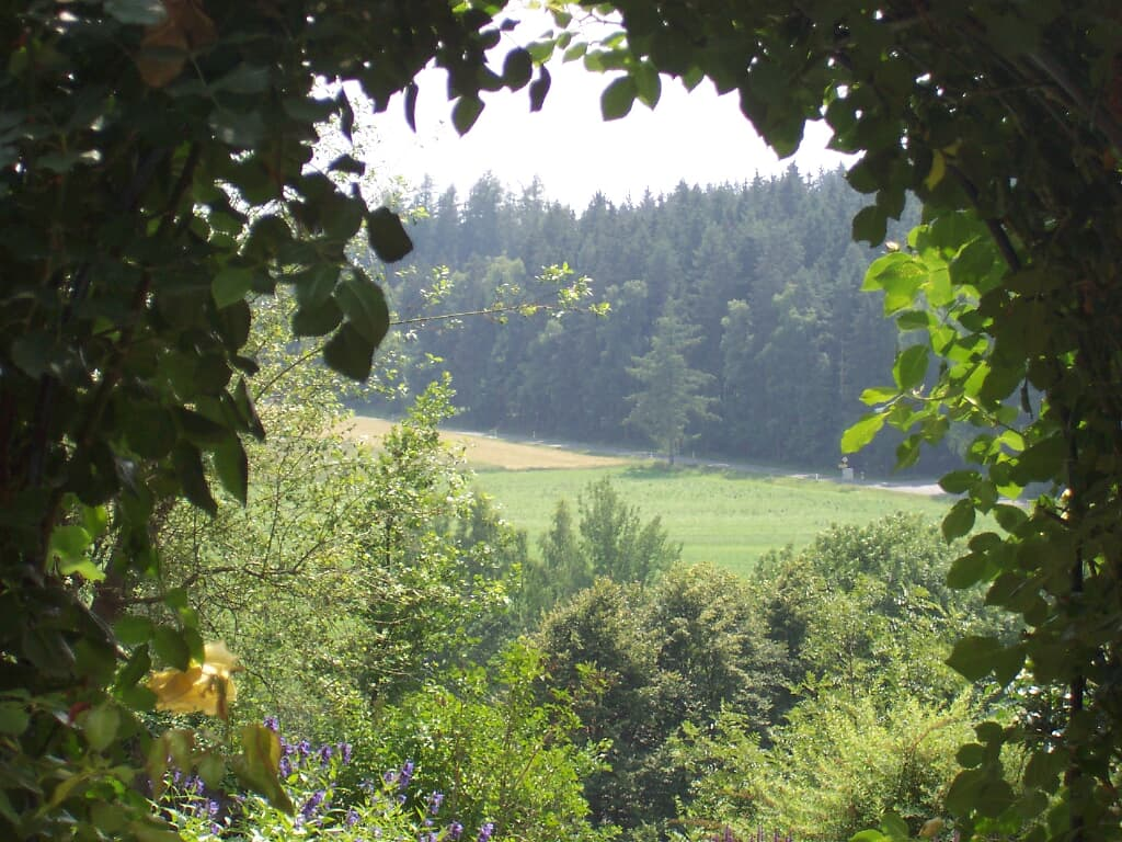 Pension Meierhofer in Tiefenbach/OPf.