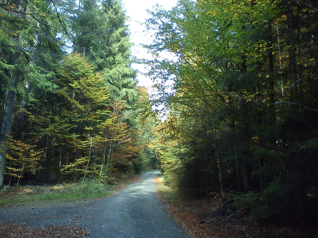 Pension Meierhofer in Tiefenbach/OPf.