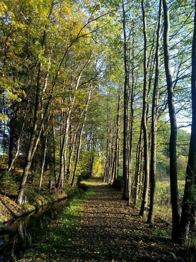 Gasthof Russenbräu in Tiefenbach/OPf.