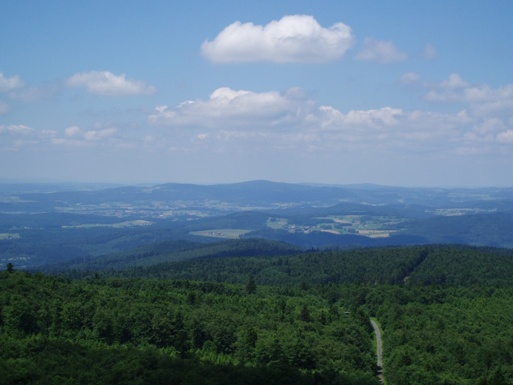 Steiner Wirt in Tiefenbach/OPf.