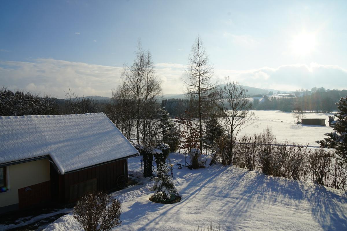 Haus am Waldrand - Ferienwohnung Augustin in Grafenau