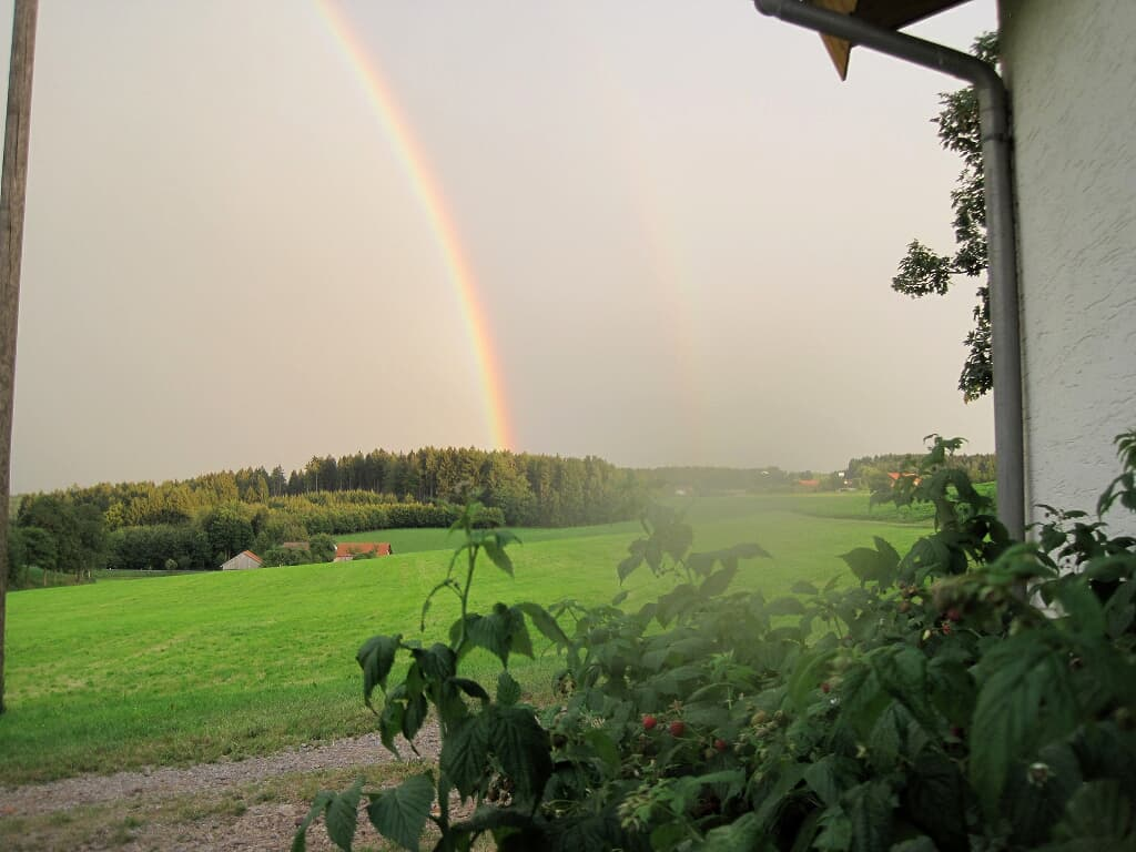 Gschwandnerhof  in Michelsneukirchen