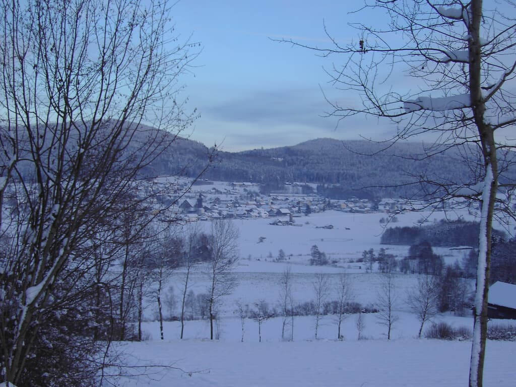 Ferienwohnung Huglbauer in Waldmünchen
