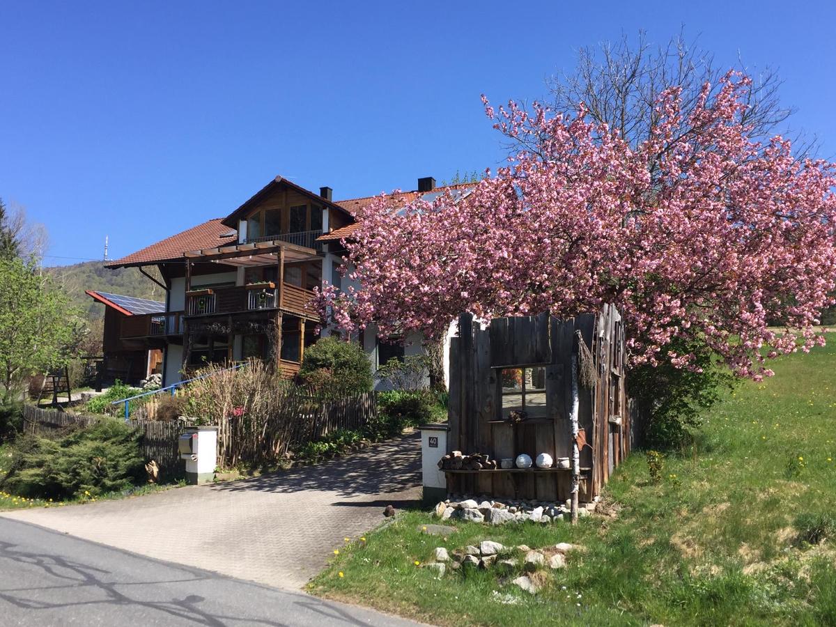 Ferienwohnung Gammer in Rimbach