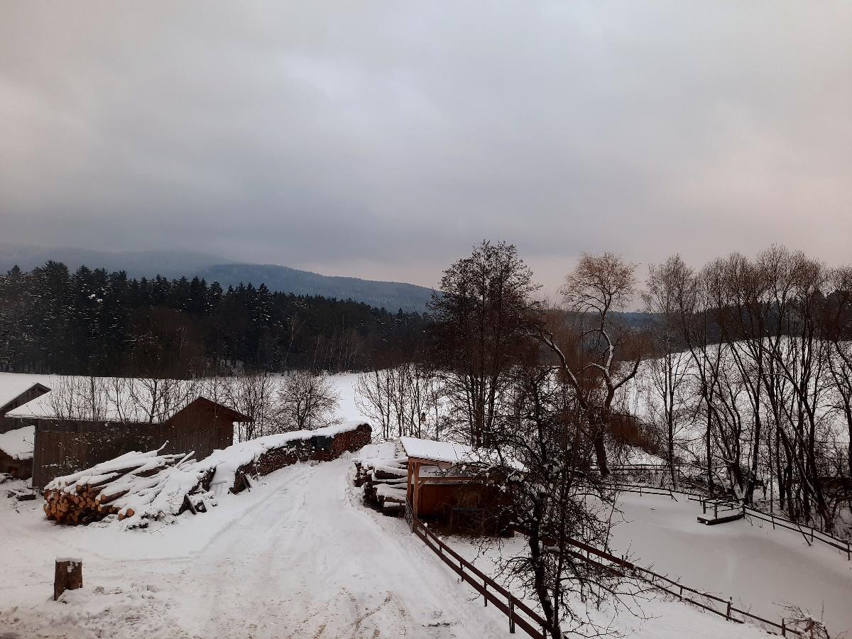 Ferien- und Reiterhof Seidl in Hohenwarth