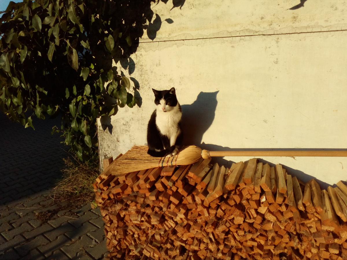 Beim Bergler in Neureichenau