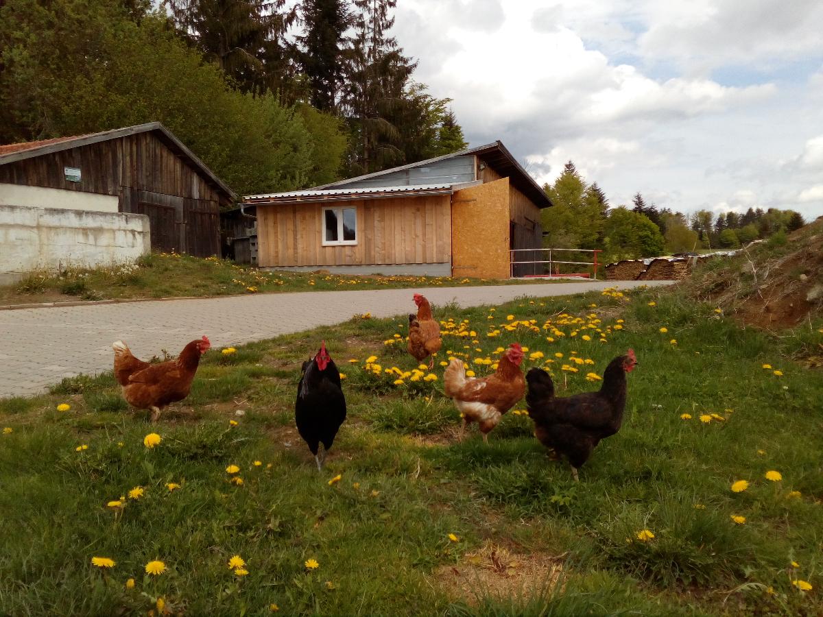 Beim Bergler in Neureichenau
