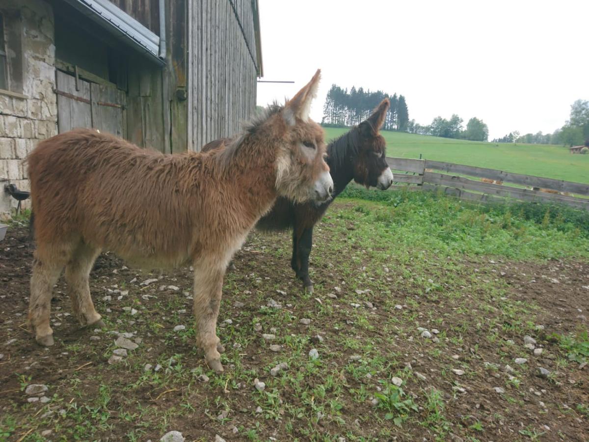 Beim Bergler in Neureichenau