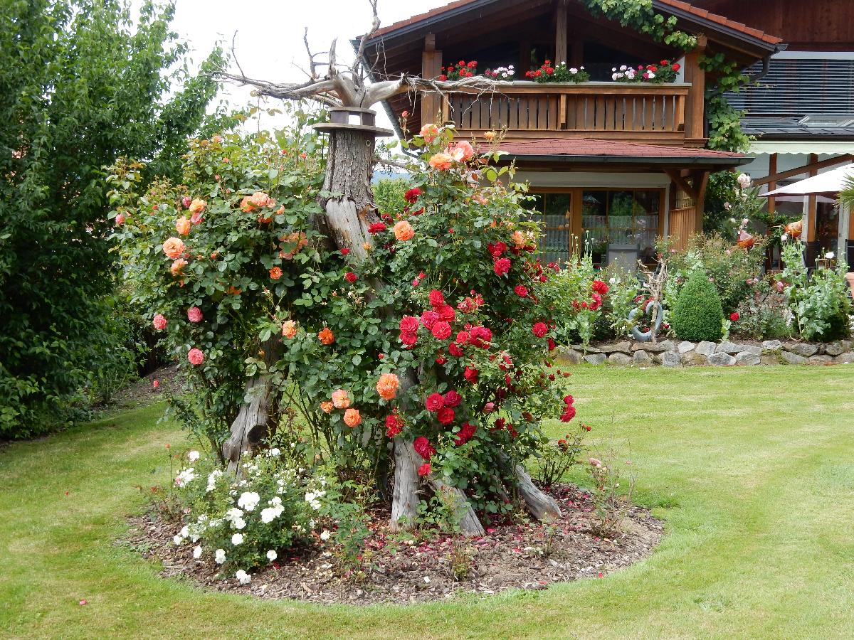 Ferienhaus in Gsteinet in Blaibach