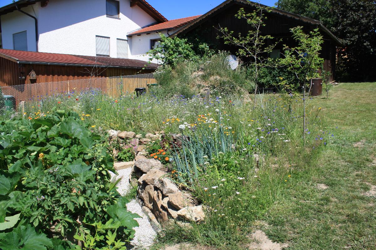 Naturspiel in Pösing