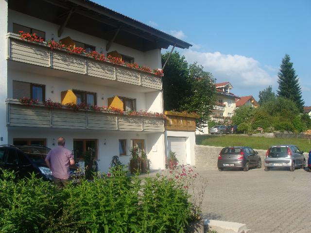 Drei Tannen in Bodenmais