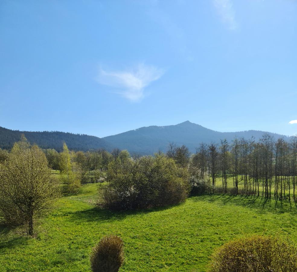 Schmalzreich Andrea-