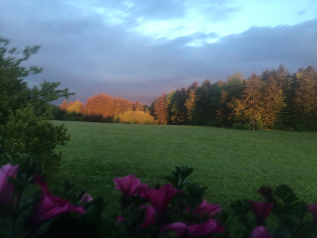 Ferienwohnung Teufelsbauer in Rimbach