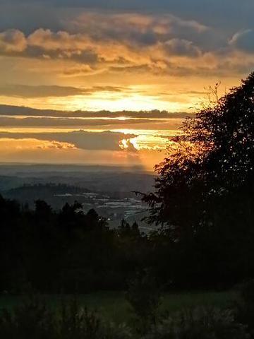 Ferienwohnung Miedl in Hauzenberg