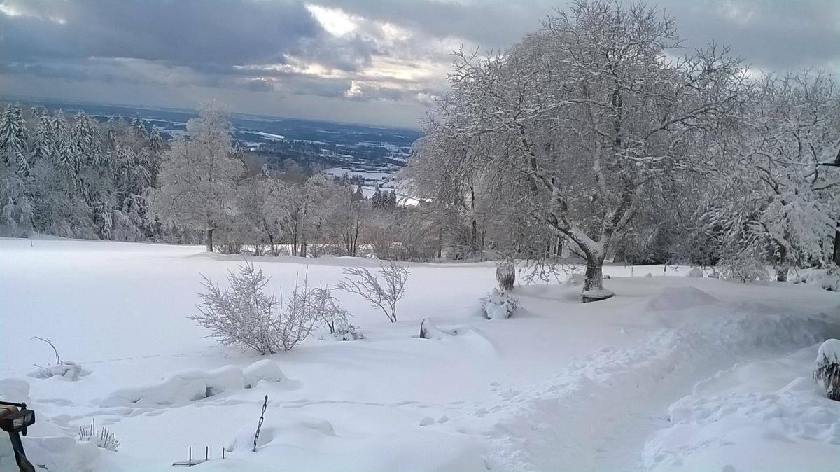 Ferienwohnung Miedl in Hauzenberg