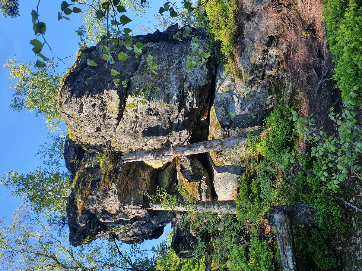 Forest Lodge in Bayerisch Eisenstein