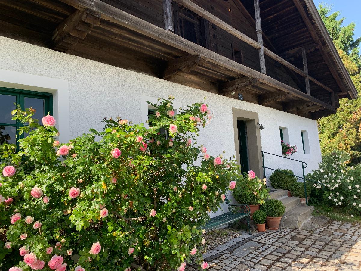 Ferienhaus Rötzer Maria in Grafenau