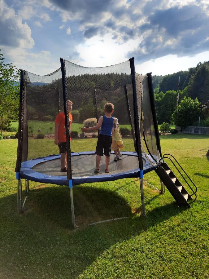 Ferienwohnung Koller in Lam
