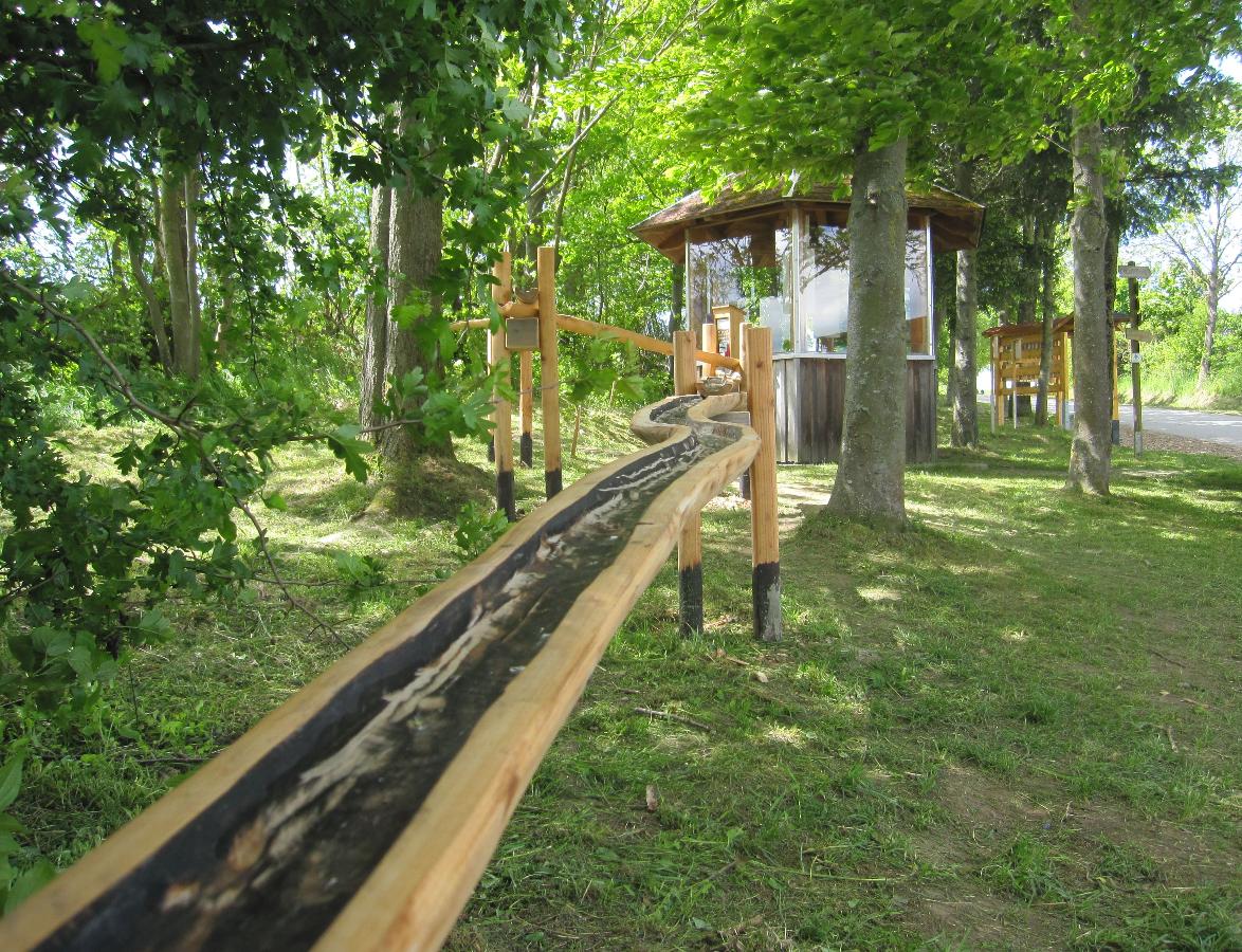 Ferienwohnung Hohenbogen in Neukirchen b. Hl. Blut