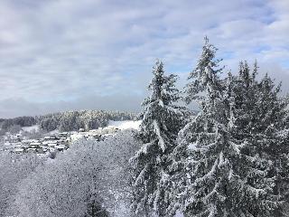Ferienwohnung Forstpanorama in Sankt Englmar