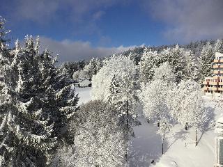 Ferienwohnung Forstpanorama in Sankt Englmar