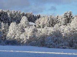 Chalet Waldstadl/ Andrea's Woidhaisl in Arnbruck