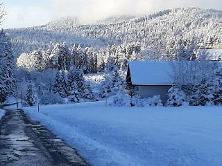 Chalet Waldstadl/ Andrea's Woidhaisl in Arnbruck