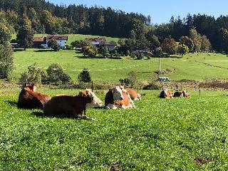 Biohof Weiderer in Lindberg