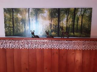 Ferienhaus Kolbeck   Nichtraucherhaus in Sankt Englmar