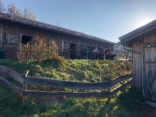 Biohof Weiderer in Lindberg
