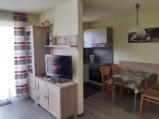 Feriendorf Schwarzholz * - ***** in Viechtach
