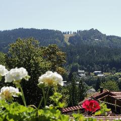 Ferienwohnungen am Rechensölden  in Bodenmais