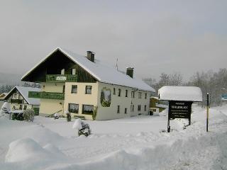 Pension Waldblick in Bayerisch Eisenstein
