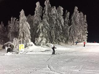 Waldheimat in Miltach