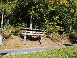 FW Sofia in Zwiesel