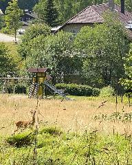 Nationalparkresidenz (Pflaum) in Lindberg