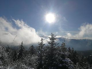 Waldheimat in Miltach