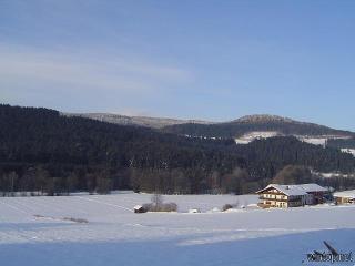 Ferienhof Gröller in Drachselsried
