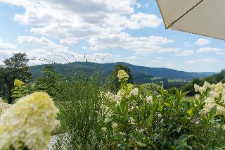 Ferienwohnungen Schiltenstein in Bodenmais