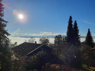 Ferienhaus Alexandra im Waldferiendorf in Regen