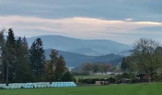 Ferienhaus Sepp im Waldferiendorf in Regen