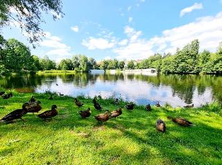 Parkside Appartement in Grafenau