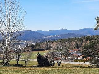 Ferienhaus MARIA im Waldferiendorf in Regen