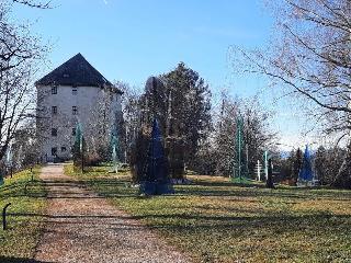 Ferienhaus MARIA im Waldferiendorf in Regen
