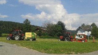 Erlebnisbauernhof Sternhof in Bodenmais