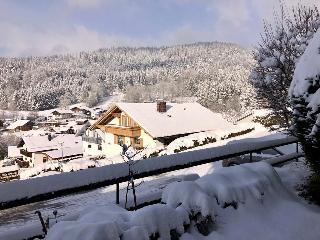 Arberflimmern in Bodenmais