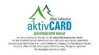 Arberflimmern in Bodenmais