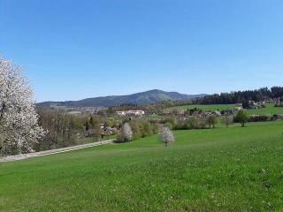 Zitzelsberger Gerda in Bad Kötzting