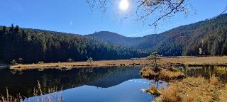 FeWo H.Reußwig in Arrach